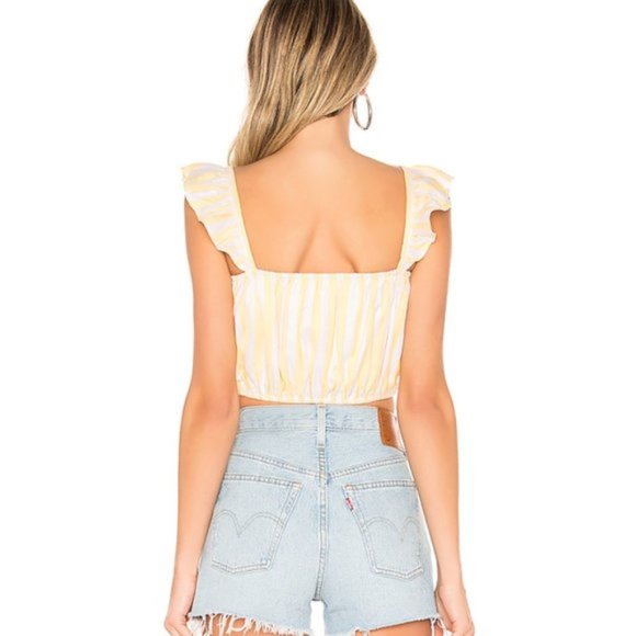 Lovers+Friends Striped Brenda Crop Top NWT - Picture 2 of 8